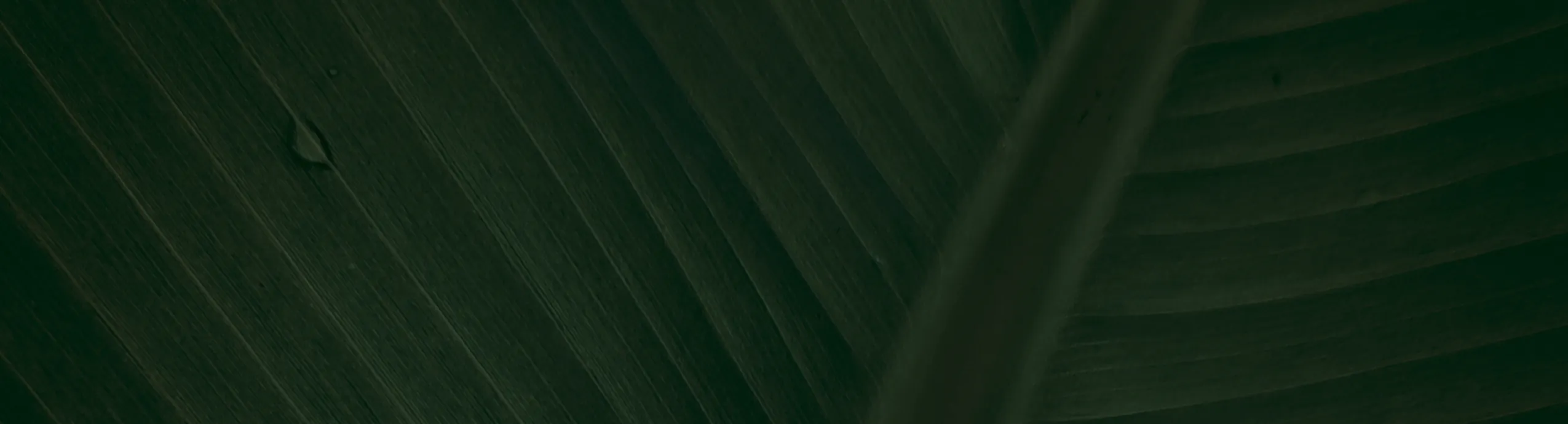 Cute LED Ghost Night Light Children's Nightlight Gift Bedside Sleep Lamp Halloween Decorations Lovely Ghost Lamp Warm Light