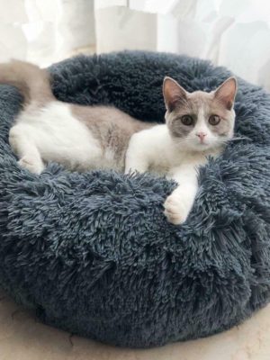 Dog Beds For Small Dogs Round Plush Cat Litter Kennel Pet Nest Mat Puppy Beds