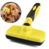 Pet Automatic Retractable Comb